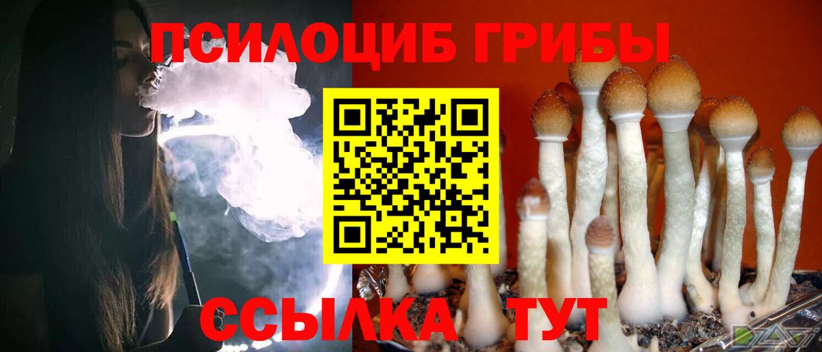 Галлюциногенные грибы Psilocybe  Вход с VPN  Казань 